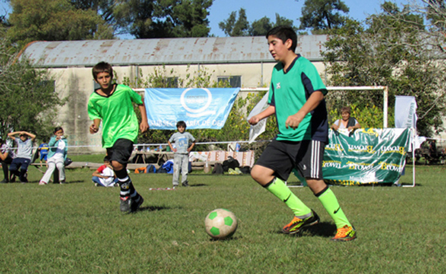 browndeporte