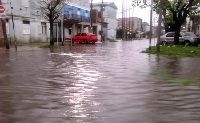 Avellaneda2015