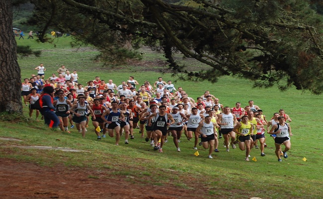 brown-corre