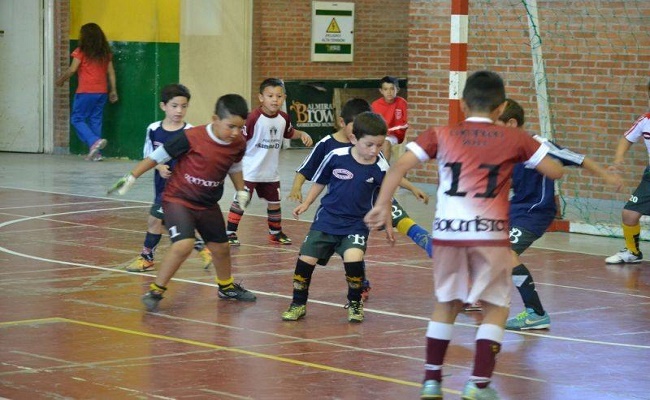 copabrowniana2016ii