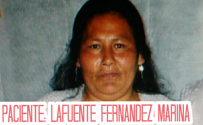 MarinaFernandezLAFuente2017