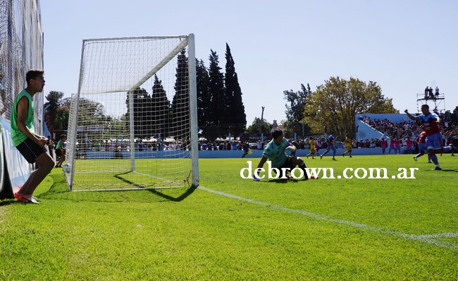 Brown (9)