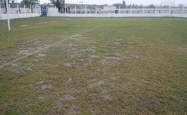 Suspendido